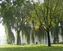 Green Eindhoven