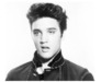 Elvis is in the building