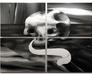 Beata Rojek: Exhibition at the Grey House
