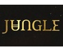 The Jungle at Fabryka