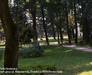 Parks of Cracow: Park at ul. Monastery / walk