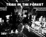 Tribe in the Forest- OA 2017