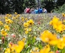 Where To Go For a Picnic In Krakow