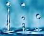 The Mineral Waters of Krynica