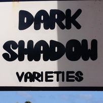 Dark Shadow Varieties