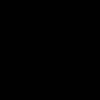 Nocti Vagus logo