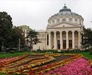 Romanian Athenaeum logo