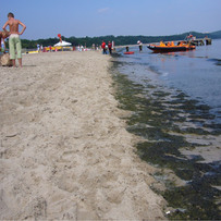 That's Why No One Swims, Sopot