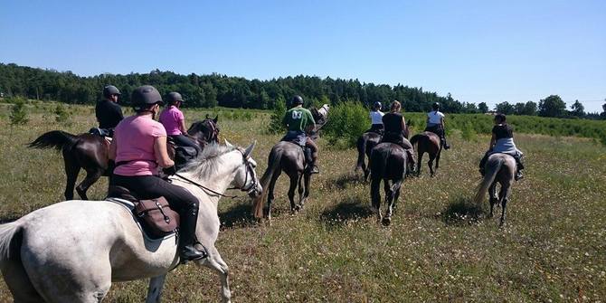 Photo 1 of Tabun Horseriding Club Tabun Horseriding Club