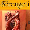 Serengeti Pub