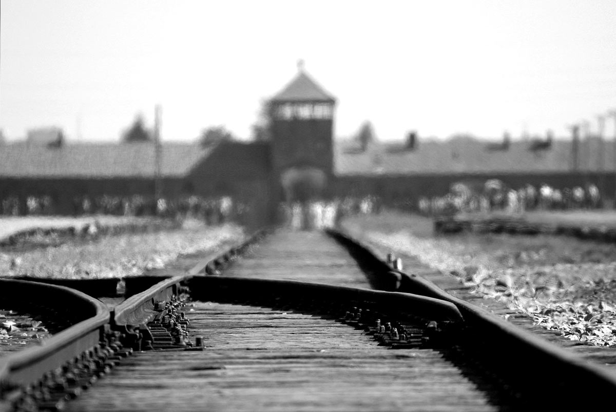 best tour guide for auschwitz