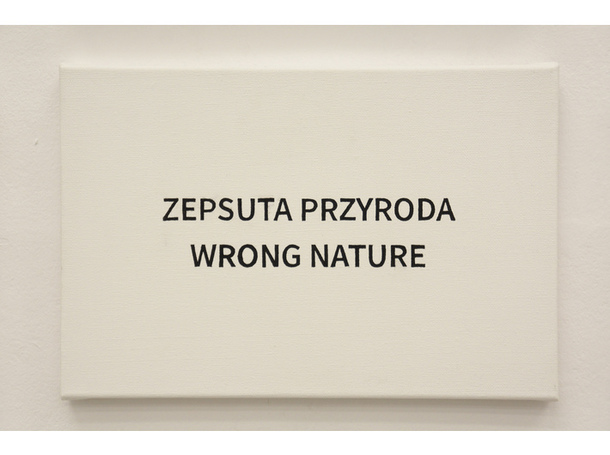 Play on Meanings / MOCAK