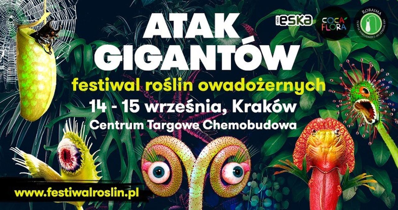 ATTACK OF GIANTS / Insectivorous Plant Festival