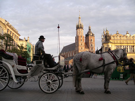 The Rynek (Market Square)