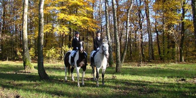 Photo 1 of Tabun Horseriding