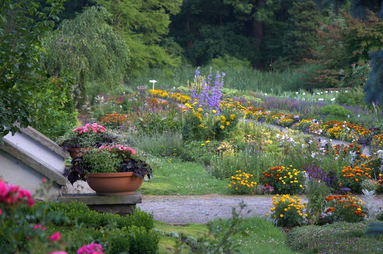 Photo 1 of Krakow Botanical Gardens 