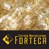 Forteca Climbing Centre logo