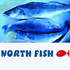 North Fish