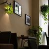 Cafe Botanica
