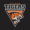 Krakow Tigers logo