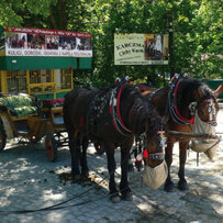 Krynica Zdrój