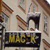 Macek logo