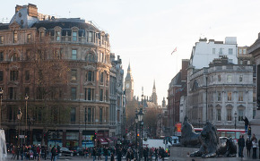 Exploring Whitehall and Westminster