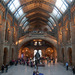 Natural History Museum