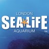 Sea Life London Aquarium