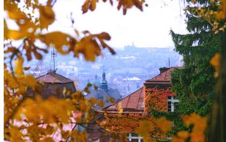 Lviv Autumn