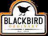 Blackbird Ordinary
