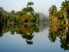 Fairchild Tropical Botanic Garden