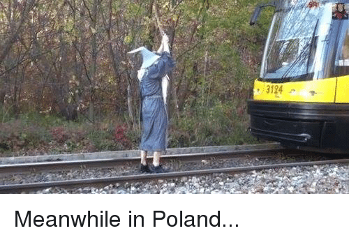 3124-meanwhile-in-poland-1438893