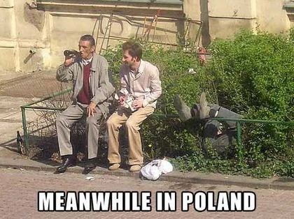 Meanwhile-in-poland-2