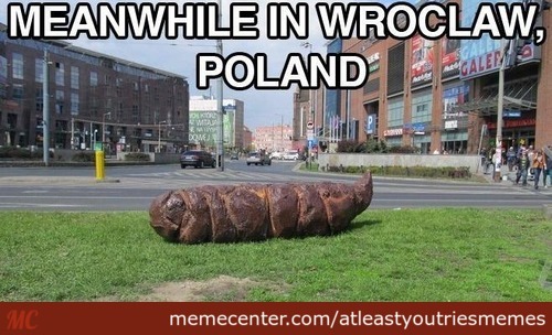 meanwhile-in-poland_c_2629237