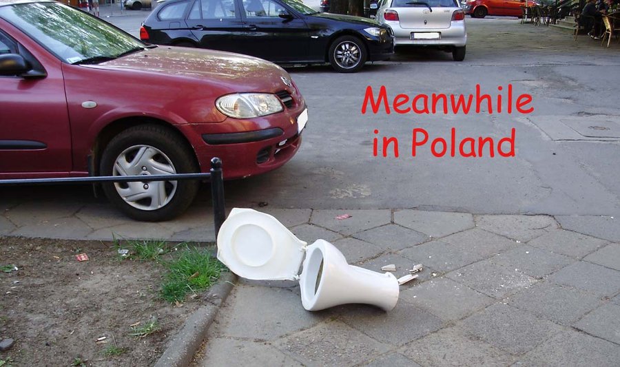 meanwhile_in_poland_by_levvvar-d4sfvau