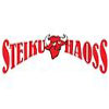 Steiku Haoss logo