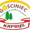 Gosciniec Kaprys logo