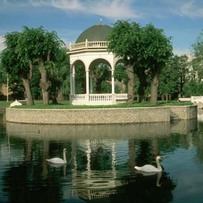 Swannery in Kadriorg