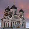 Alexander Nevsky Cathedral logo