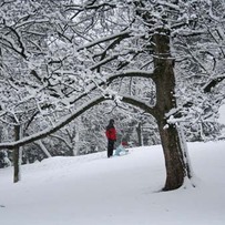 Snow Making