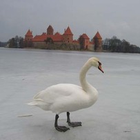 Trakai Castle