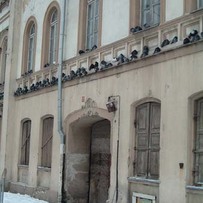 Pigeon Roost