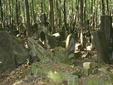 The Jewish Cemetery