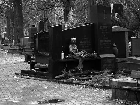 A Woodland Resting Place