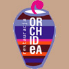 Orchidea logo