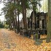 Old Jewish Cemetery