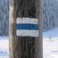 Path sign in Winter