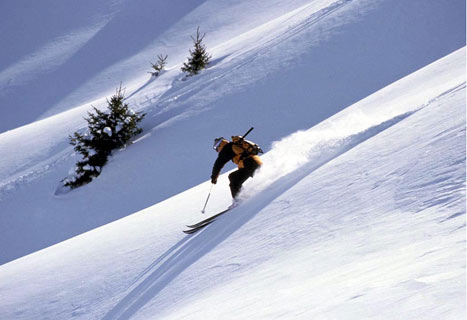 Grab A Piste Of The Action