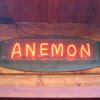 Anemon logo